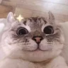 BOM