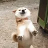 Jxnek