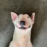 mqte