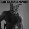 Nikcats2