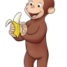 zipqt