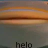 RyCheX