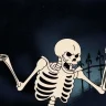 Domi