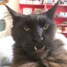 Slewje
