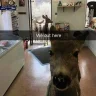 spin