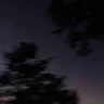 xankin