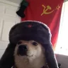 Yeetmiester
