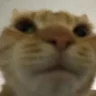 Scatman