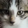 Fizko