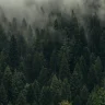 txvvgnx