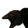 onyxzero