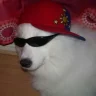 mislavmlinaric