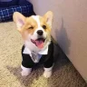 RenJie