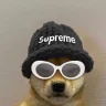Hydn