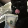 Morriz