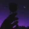 ToxicXem