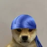 fin