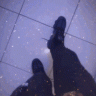 jordanwitheout