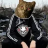 poranaraboty