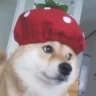 Spookeh