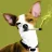 Stonerdog420