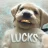 lucks