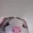 meida