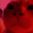 adrian1337