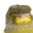 uwupift